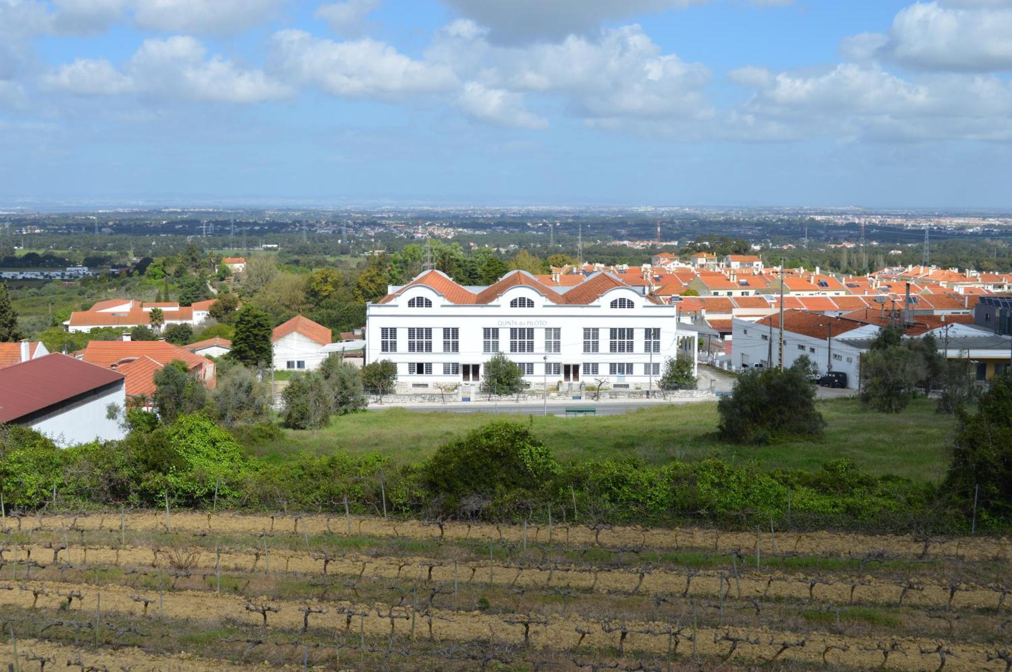 Гостьовий будинок Quinta Do Piloto Палмела Екстер'єр фото